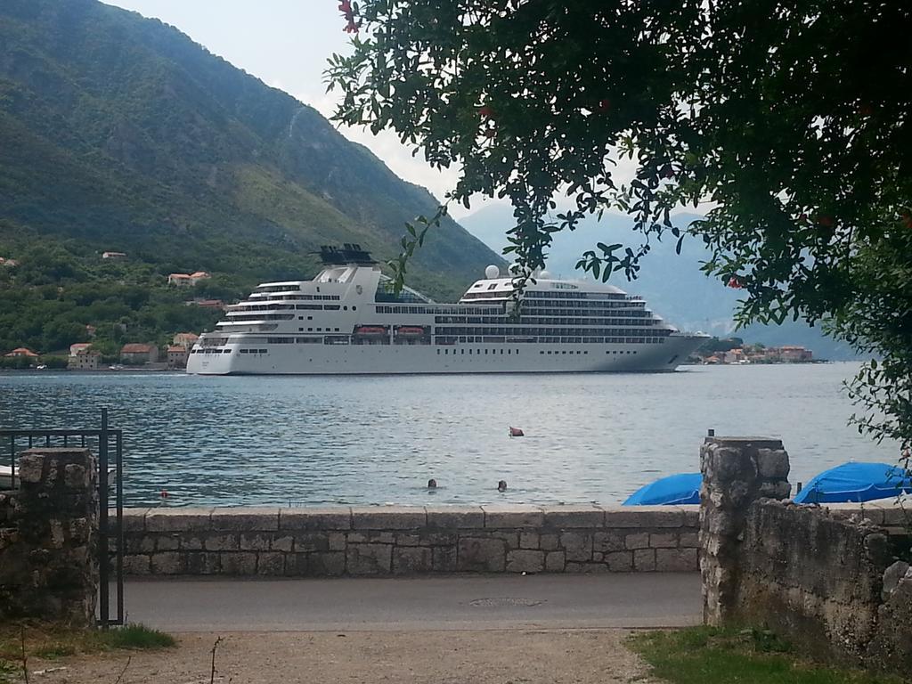 Apartments Vido Kotor Værelse billede