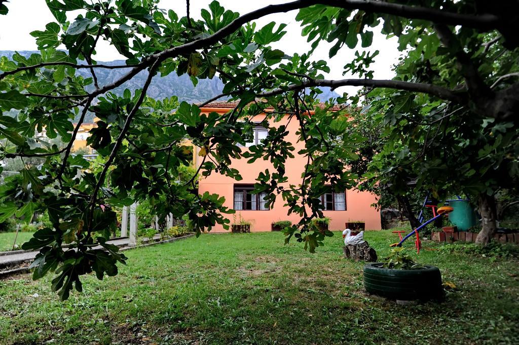 Apartments Vido Kotor Eksteriør billede