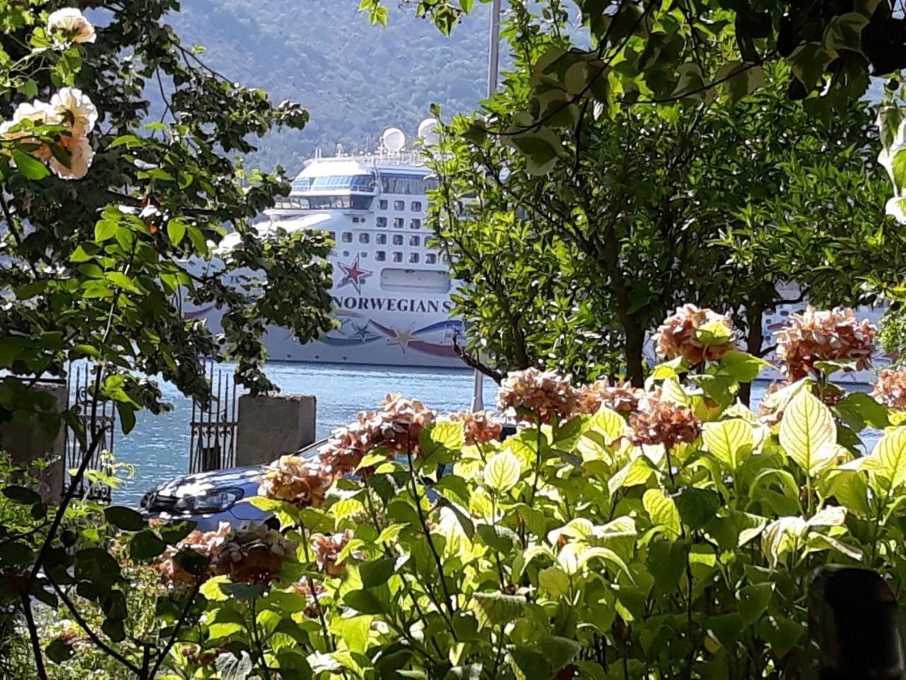 Apartments Vido Kotor Eksteriør billede
